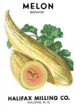 Flower, Fruit and Vegetable Seed Packet CD-ROM and Book #097 #097